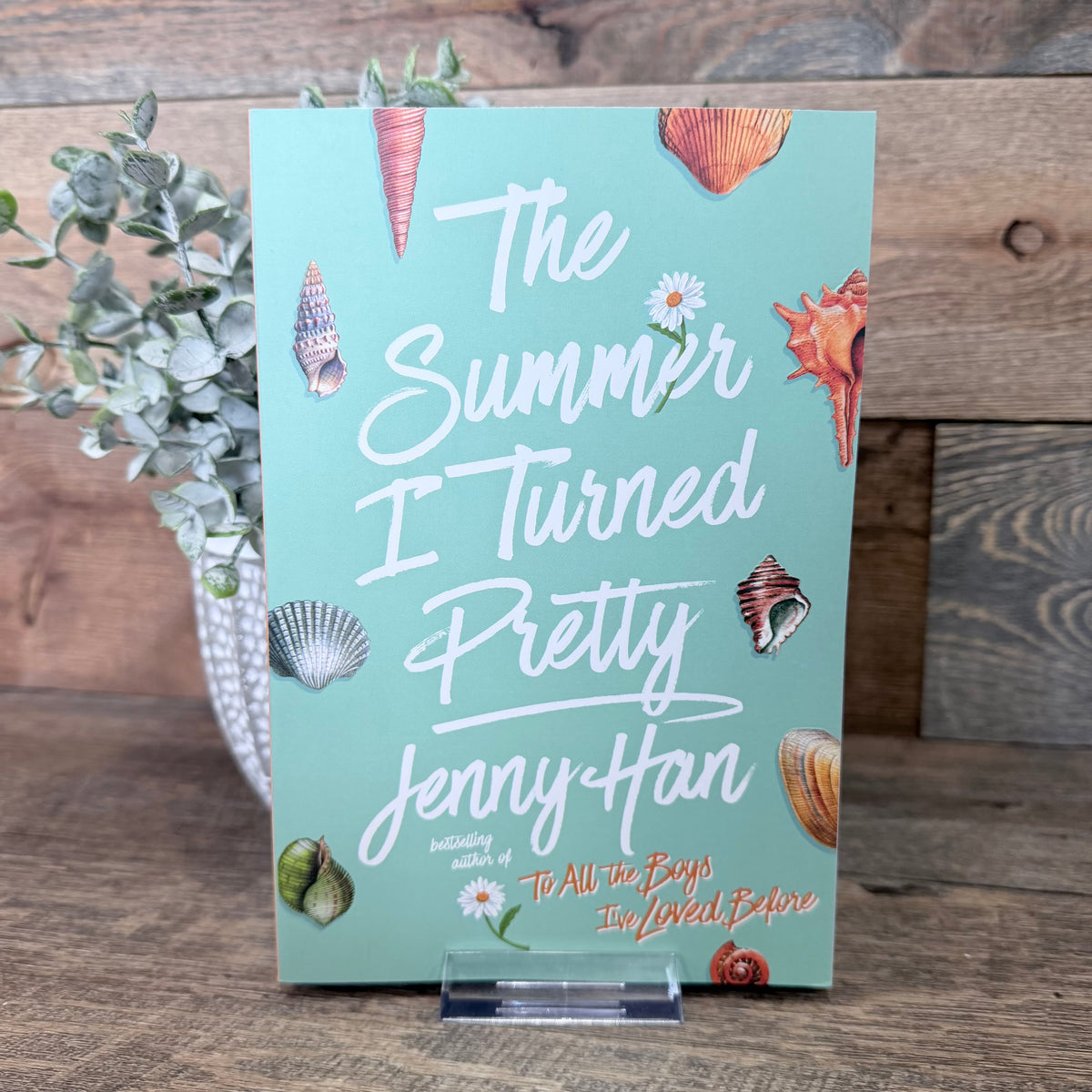 The Summer I Turned Pretty: Summer #1