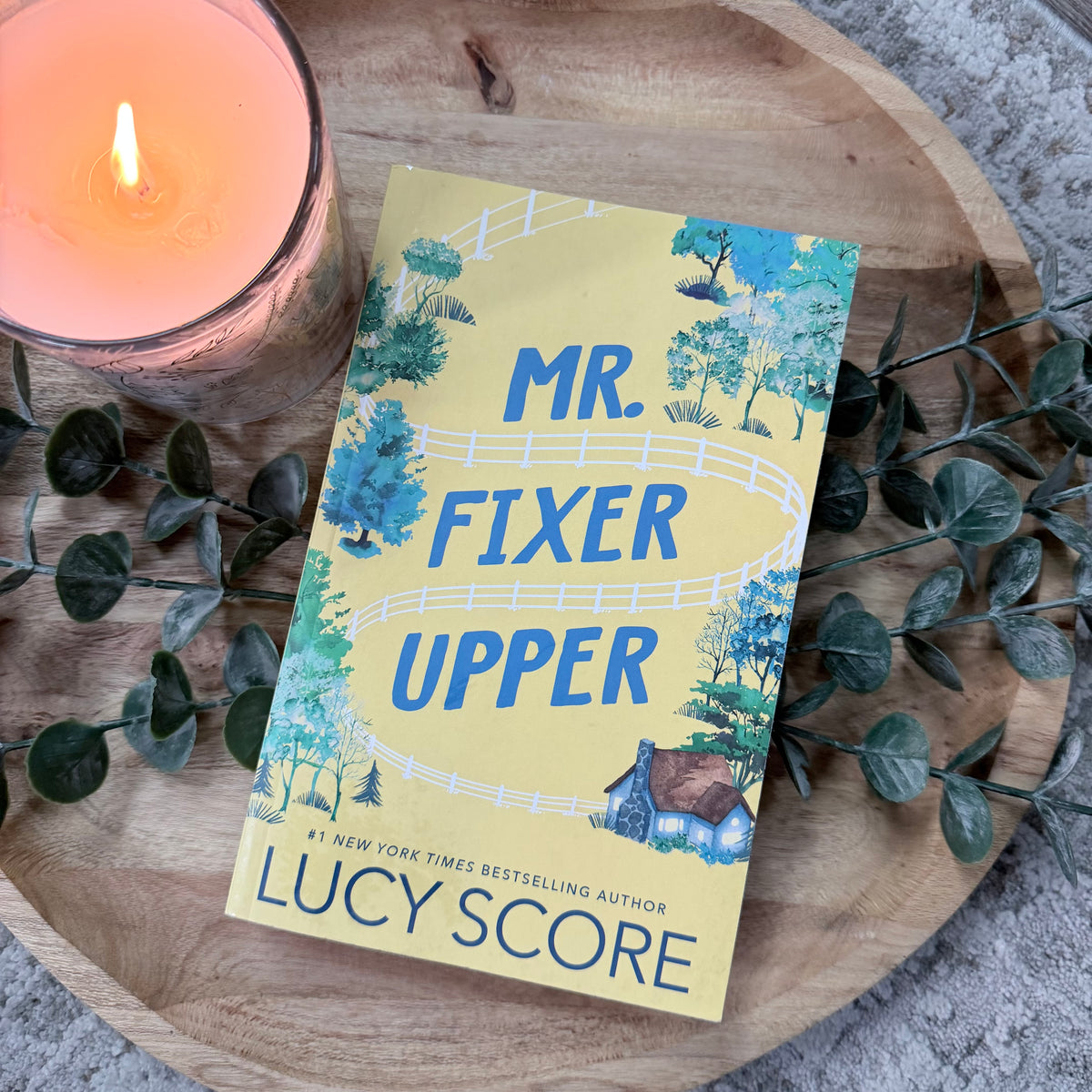 Mr. Fixer Upper
