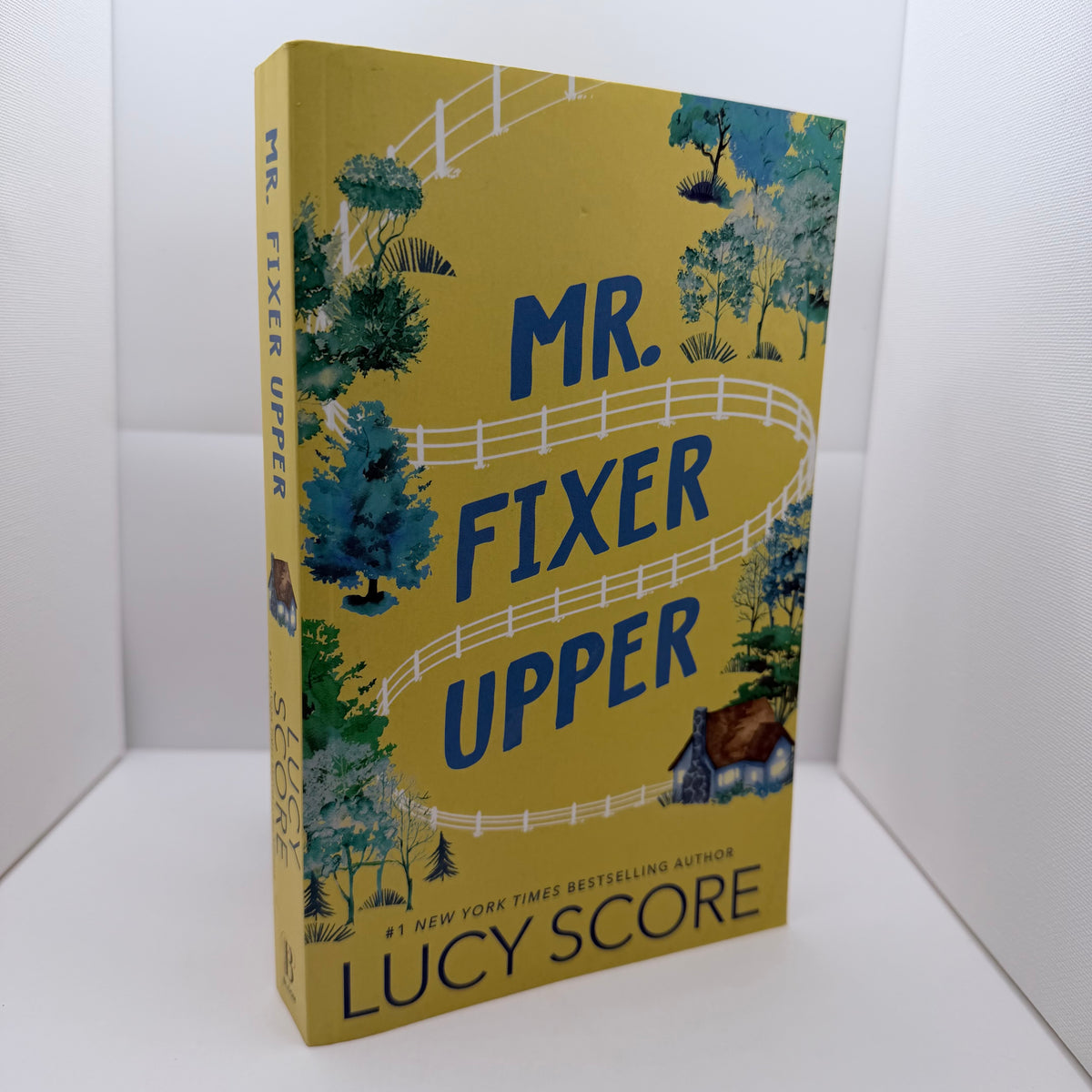 Mr. Fixer Upper