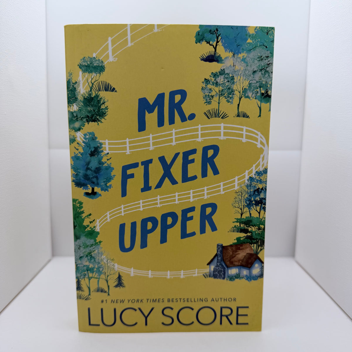 Mr. Fixer Upper