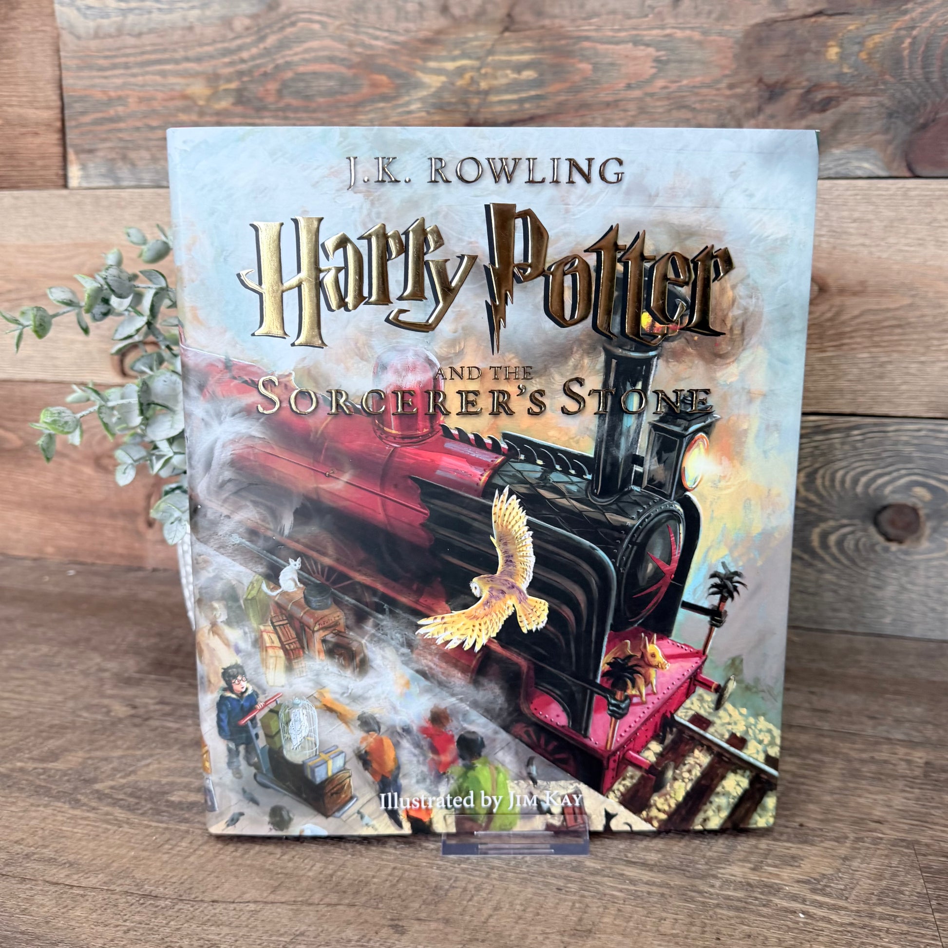 Harry Potter and the sorcerer's stone illustrated hardcover JK Rowling